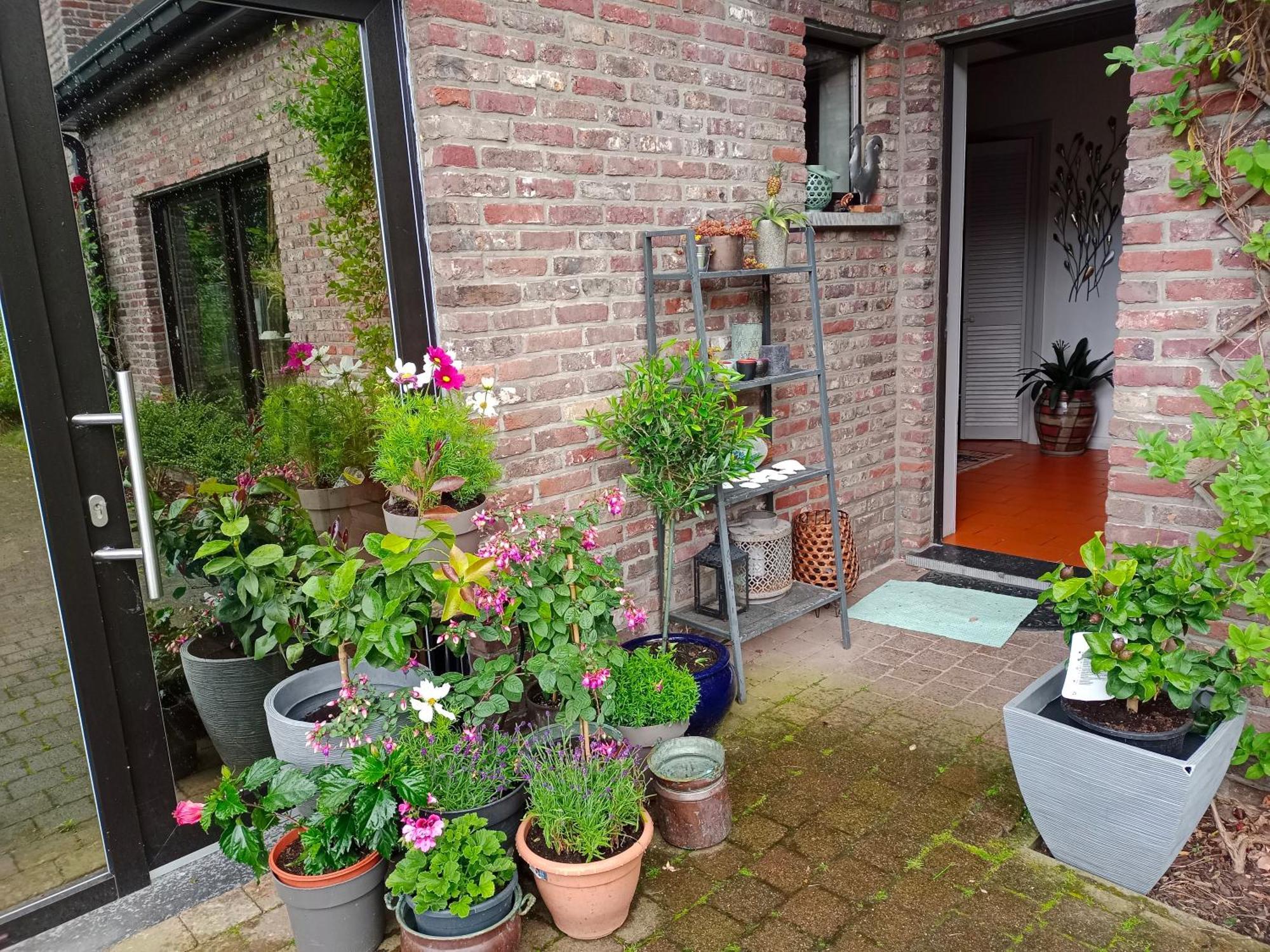 Efes Home Ghent Exterior photo